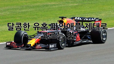 달콤한 유혹! 파인애플 제대로 고르는 법